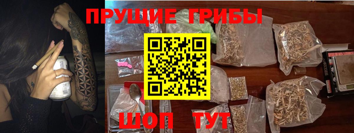Георгиевск  цены наркотик  Галлюциногенные грибы MAGIC MUSHROOMS  Вход с VPN  Псилоцибиновые грибы Cubensis 